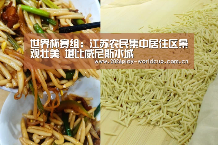 世界杯赛组:江苏农民集中居住区景观壮美 堪比威尼斯水城(图4) 世界杯官方中文网