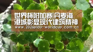 世界杯附加赛|丹麦海港城彰显现代建筑精神(图3) 世界杯附加赛