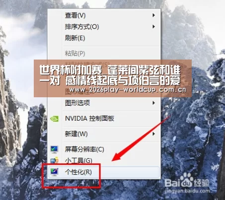 世界杯附加赛