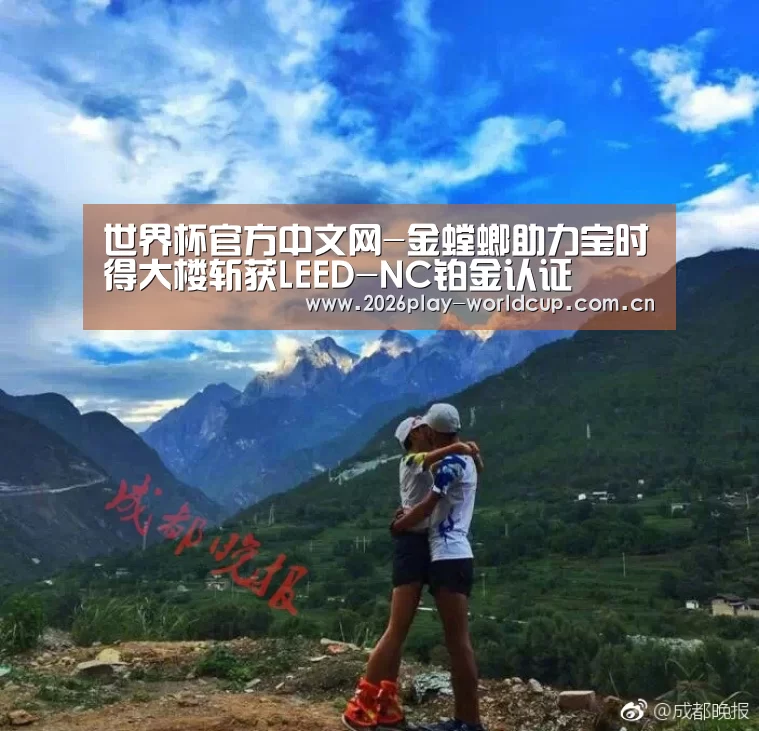 世界杯赛组