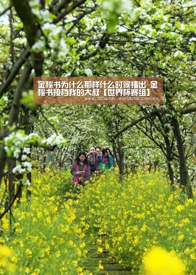 金秘书为什么那样什么时候播出 金秘书接档我的大叔【世界杯赛组】(图1) 世界杯官方中文网